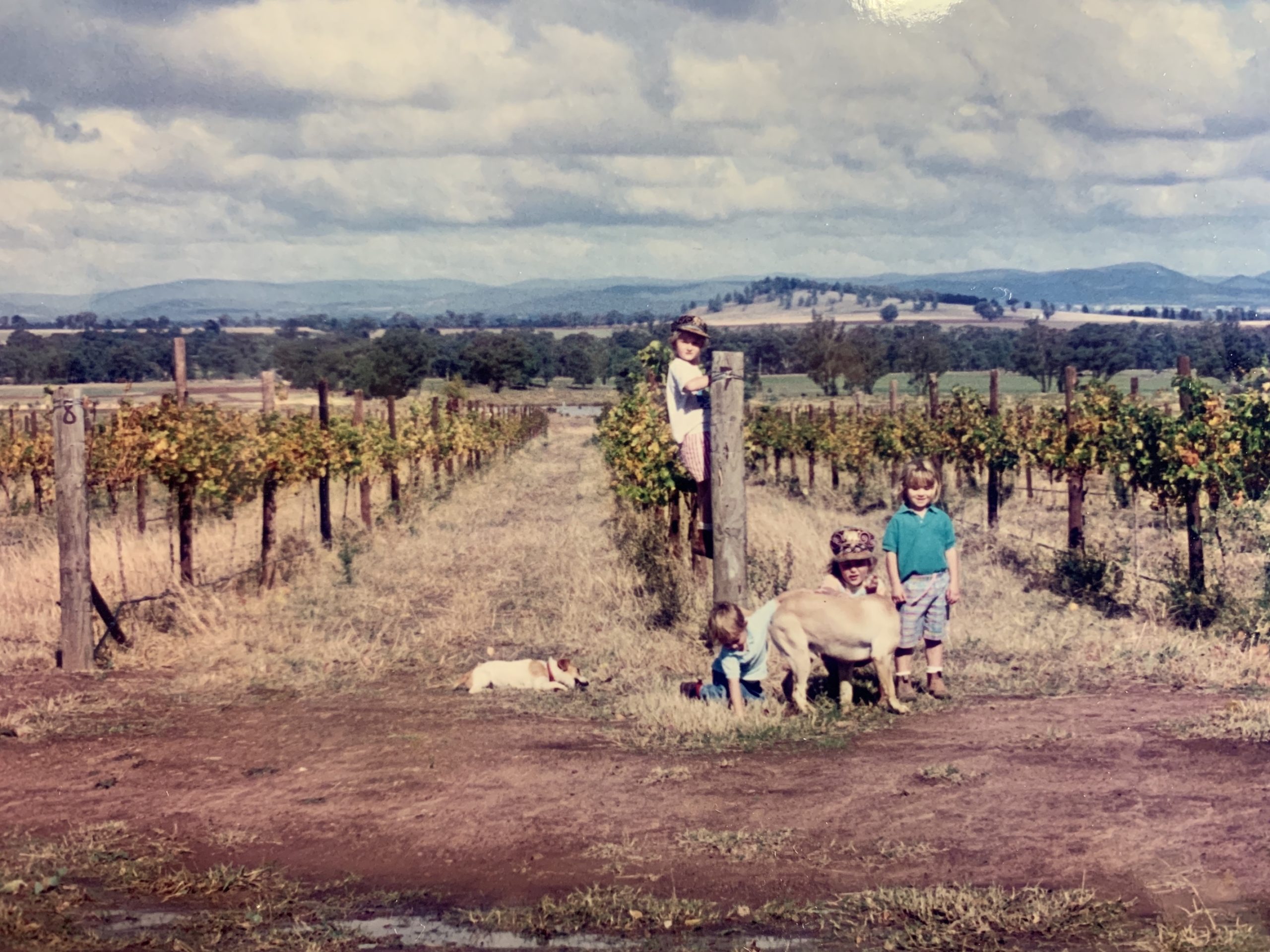 1995 - Nadja and her three sisters; Isabella, Veronica and Gabrielle at the Wallington Vineyard in Canowindra.  (Nadja is the one climbing the headpost)
