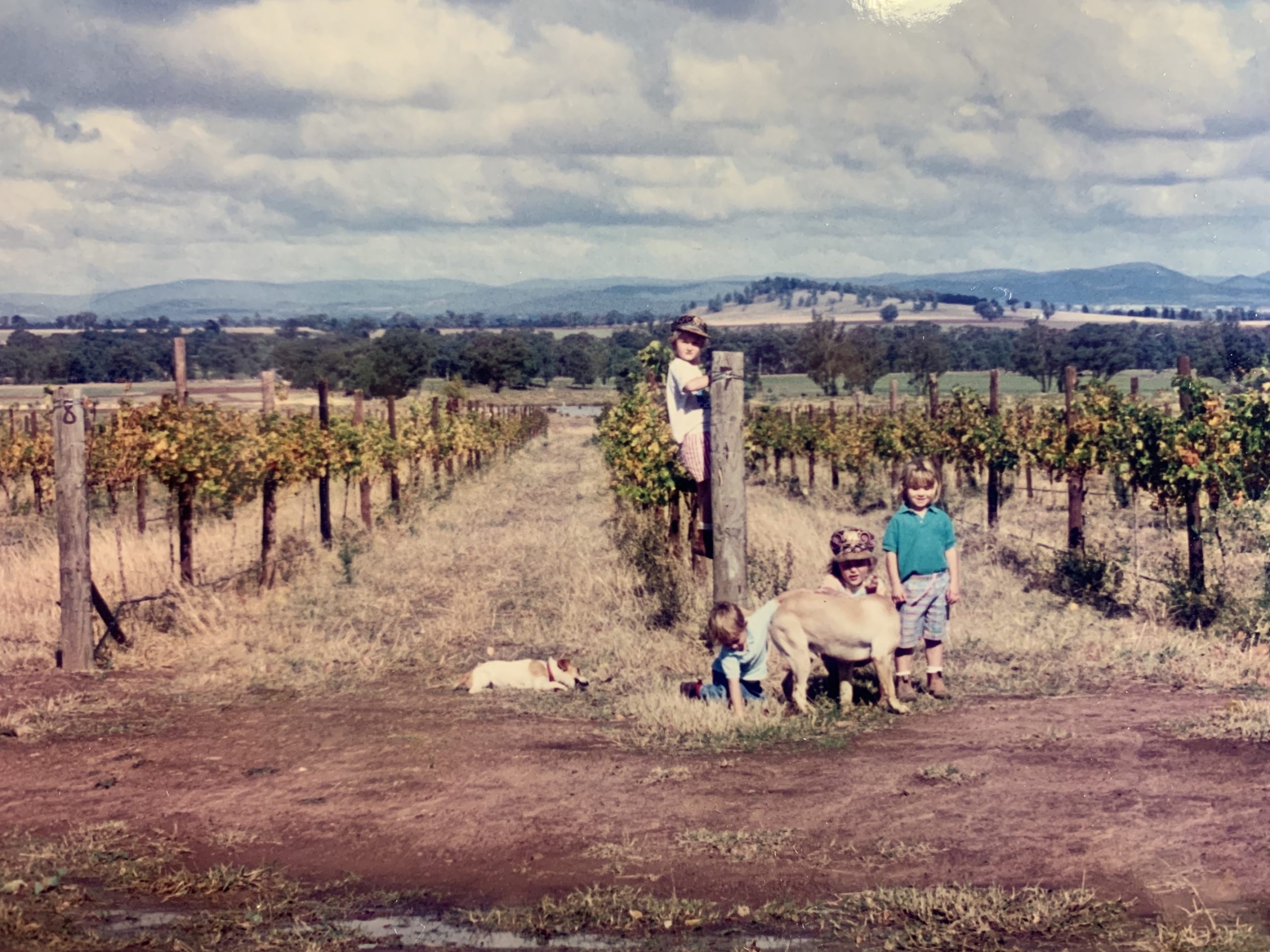 Nadja and her three sisters; Isabella, Veronica and Gabrielle at the Wallington Vineyard in Canowindra. (Nadja is the one climbing the headpost)