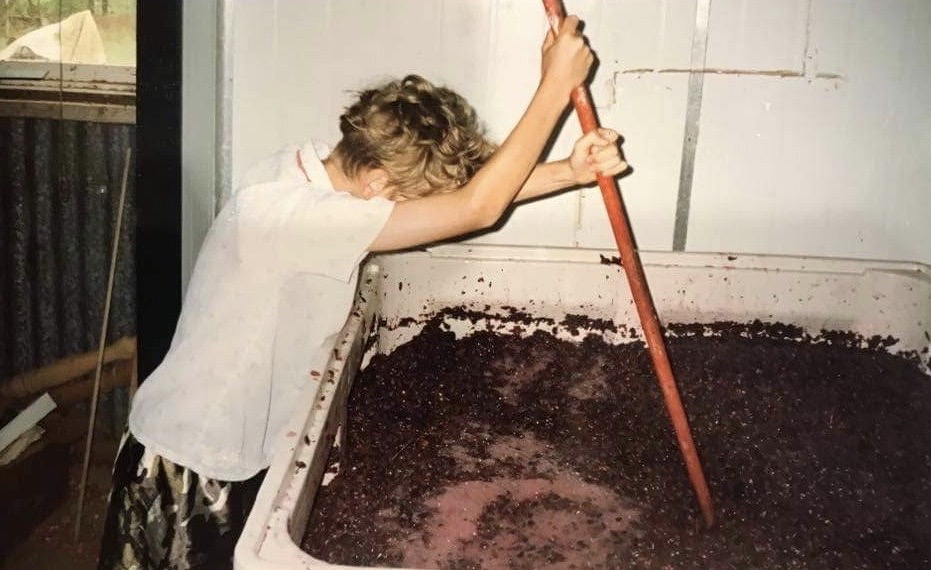 Steve helping out at harvest plunging down red ferments.