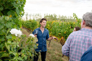 ChaLou Wines - Bud to Bottle