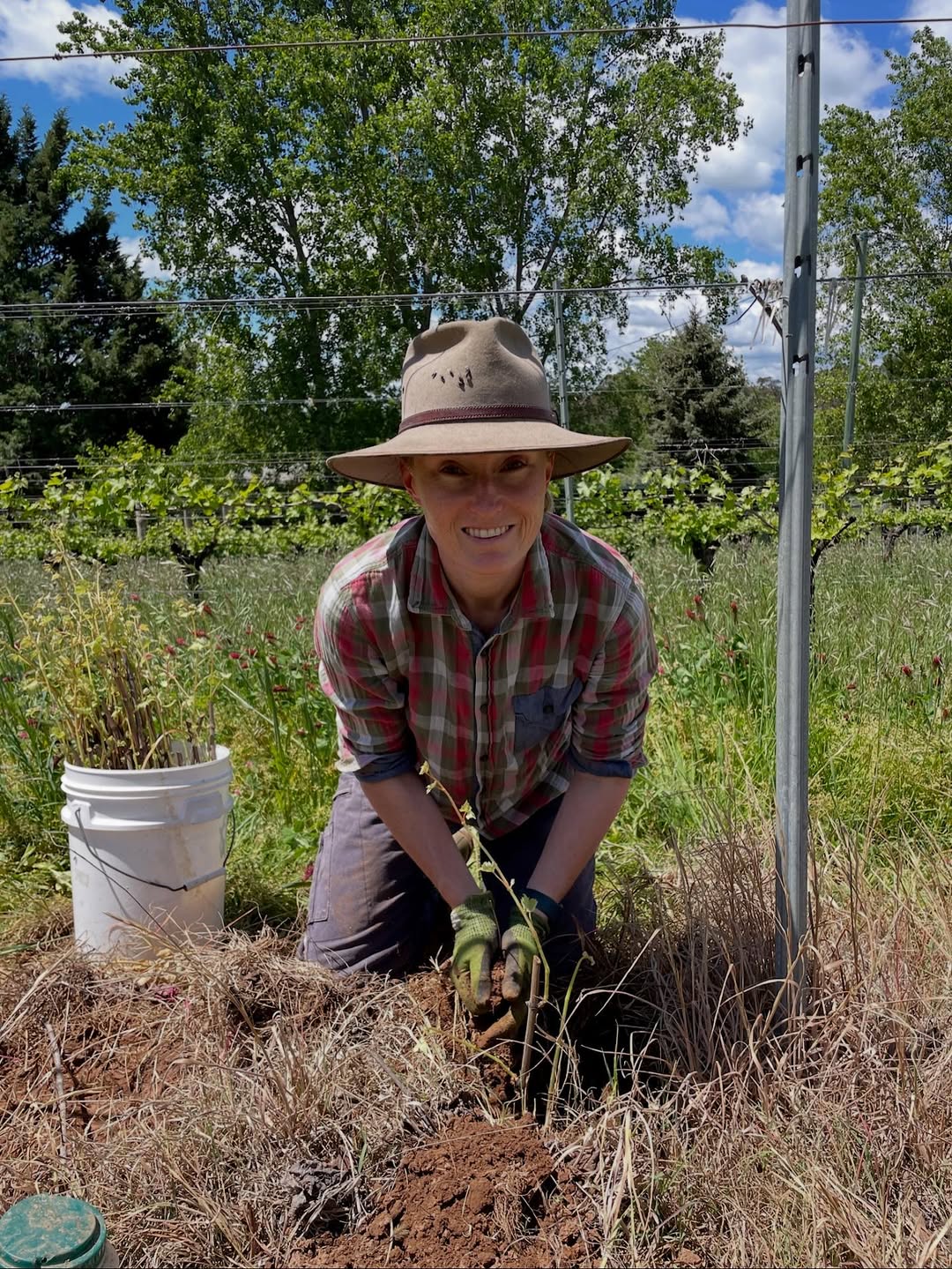 Nadja-planting-pinot-noir-and-chardonnay-chalou-wines